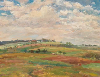 Volger weidelandschap in het zomerlicht